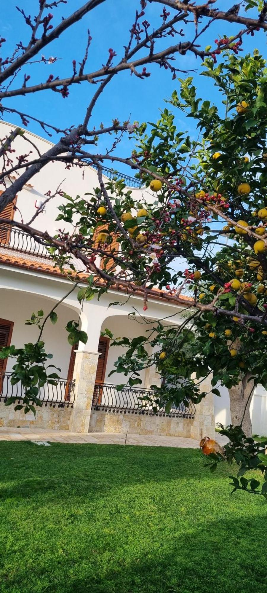 Villa Guajira Бари Экстерьер фото
